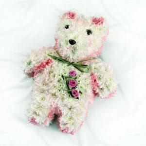 TEDDY BEAR